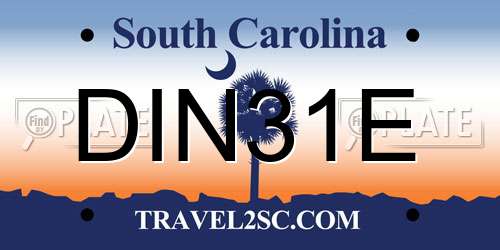 DIN31E South Carolina License Plate