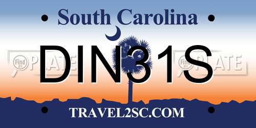 DIN31S South Carolina License Plate
