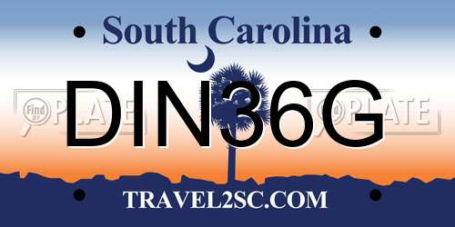 DIN36G South Carolina License Plate