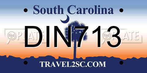 DIN713 South Carolina License Plate