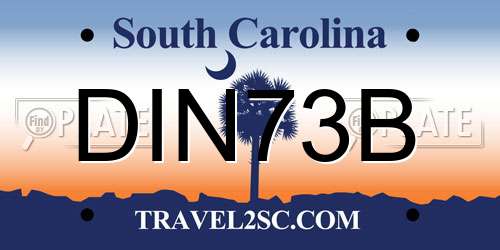 DIN73B South Carolina License Plate
