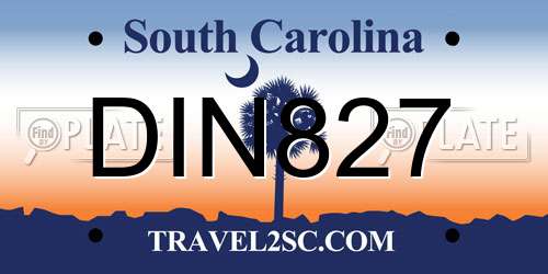 DIN827 South Carolina License Plate