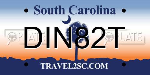 DIN82T South Carolina License Plate