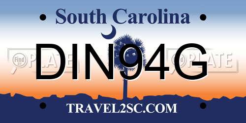 DIN94G South Carolina License Plate