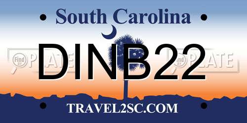 DINB22 South Carolina License Plate