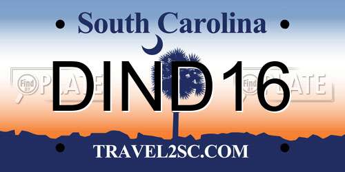 DIND16 South Carolina License Plate