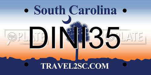 DINI35 South Carolina License Plate