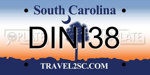 DINI38 South Carolina License Plate