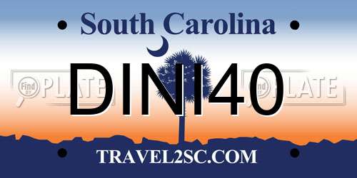 DINI40 South Carolina License Plate