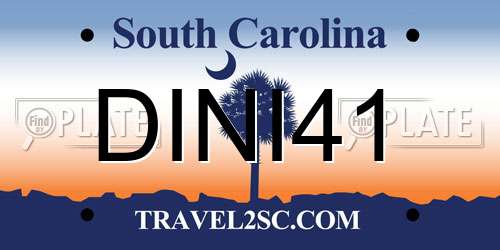 DINI41 South Carolina License Plate