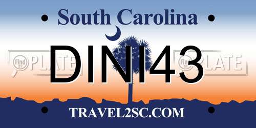 DINI43 South Carolina License Plate