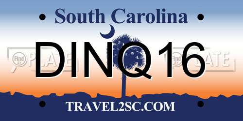 DINQ16 South Carolina License Plate