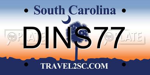 DINS77 South Carolina License Plate
