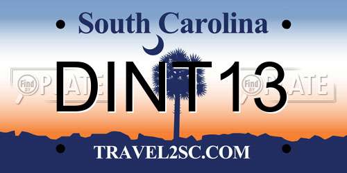 DINT13 South Carolina License Plate