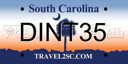 DINT35 South Carolina License Plate