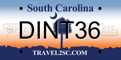 DINT36 South Carolina License Plate