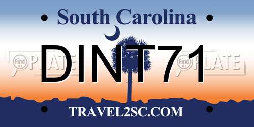 DINT71 South Carolina License Plate