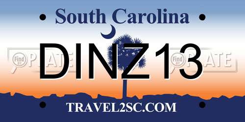 DINZ13 South Carolina License Plate