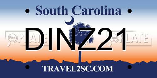 DINZ21 South Carolina License Plate