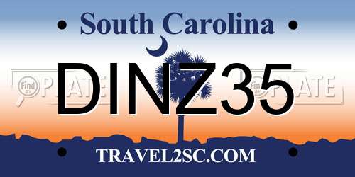 DINZ35 South Carolina License Plate