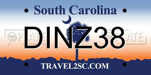 DINZ38 South Carolina License Plate