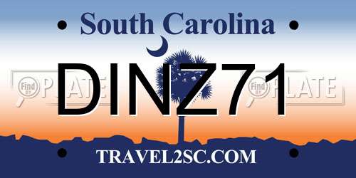 DINZ71 South Carolina License Plate