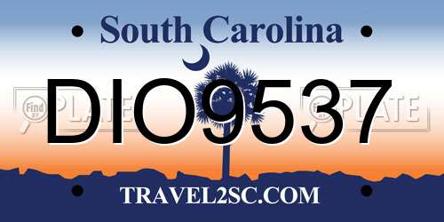 DIO9537 South Carolina License Plate