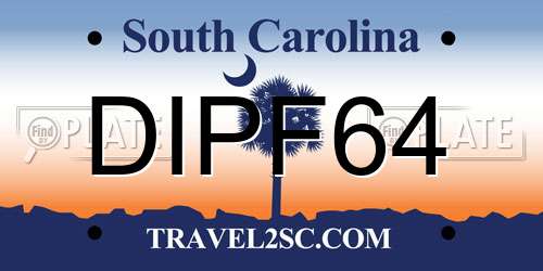 DIPF64 South Carolina License Plate