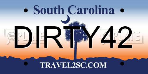 DIRTY42 South Carolina License Plate