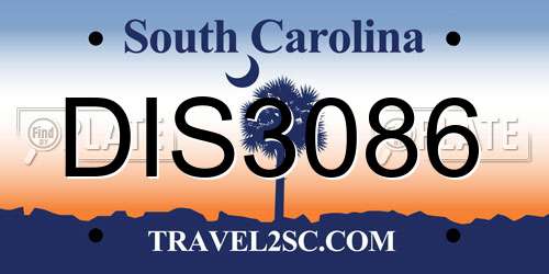 DIS3086 South Carolina License Plate