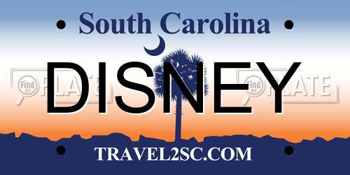 DISNEY South Carolina License Plate