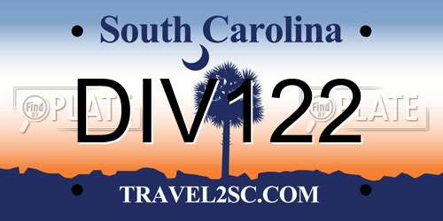 DIV122 South Carolina License Plate
