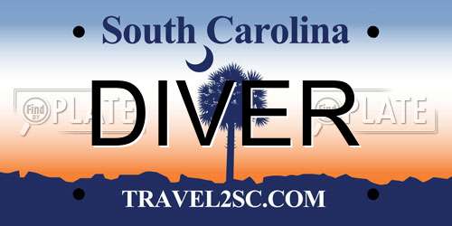 DIVER South Carolina License Plate