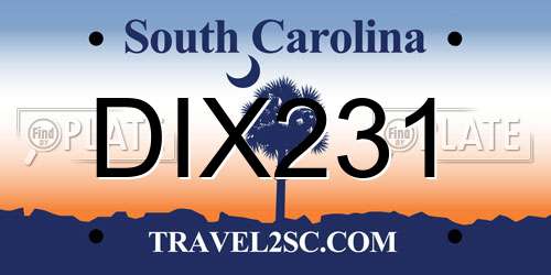 DIX231 South Carolina License Plate