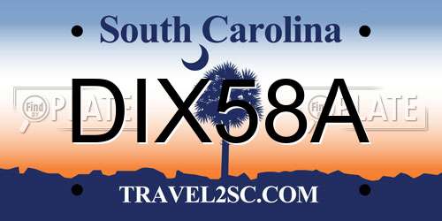 DIX58A South Carolina License Plate