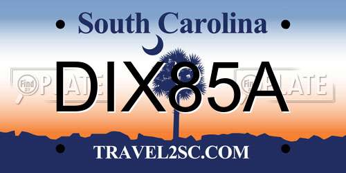 DIX85A South Carolina License Plate