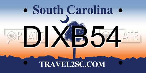DIXB54 South Carolina License Plate
