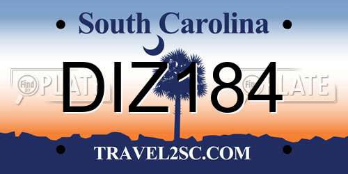 DIZ184 South Carolina License Plate
