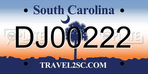 DJ00222 South Carolina License Plate