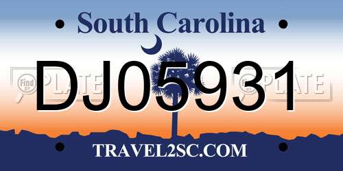 DJ05931 South Carolina License Plate