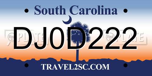 DJ0D222 South Carolina License Plate