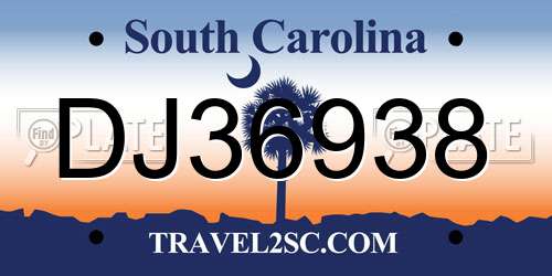 DJ36938 South Carolina License Plate