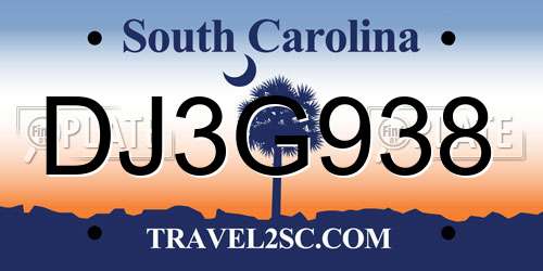 DJ3G938 South Carolina License Plate
