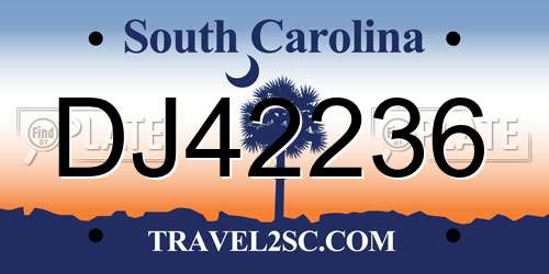 DJ42236 South Carolina License Plate