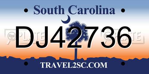 DJ42736 South Carolina License Plate