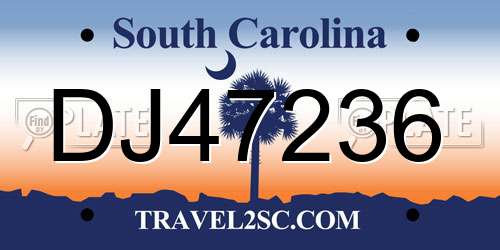 DJ47236 South Carolina License Plate