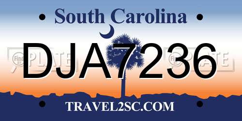 DJA7236 South Carolina License Plate