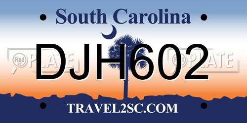 DJH602 South Carolina License Plate