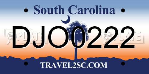 DJO0222 South Carolina License Plate