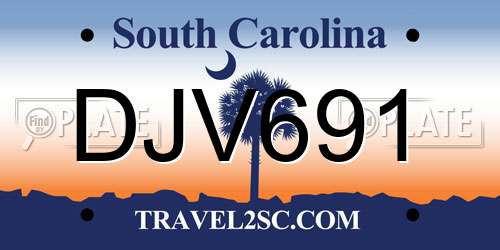 DJV691 South Carolina License Plate
